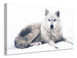 canvas-print-the-wolf