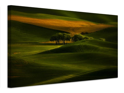 canvas-print-tree-in-the-field-x
