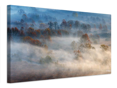 canvas-print-trees-in-the-early-morning-fog-x