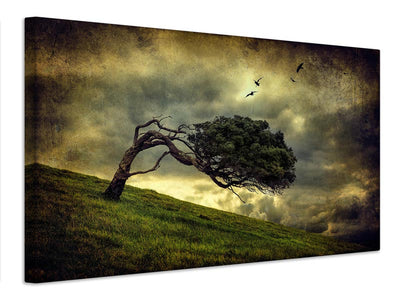 canvas-print-winds-of-change-x