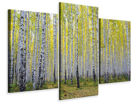 modern-3-piece-canvas-print-autumnal-birch-forest