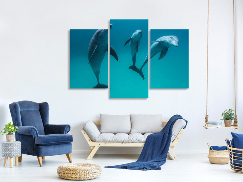 modern-3-piece-canvas-print-bottlenose-dolphins-ii