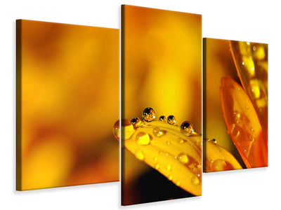 modern-3-piece-canvas-print-drops-close-up