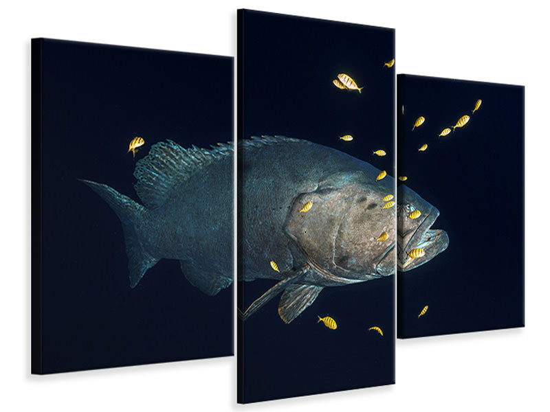 modern-3-piece-canvas-print-giant-grouper