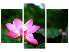 modern-3-piece-canvas-print-lotus-in-nature