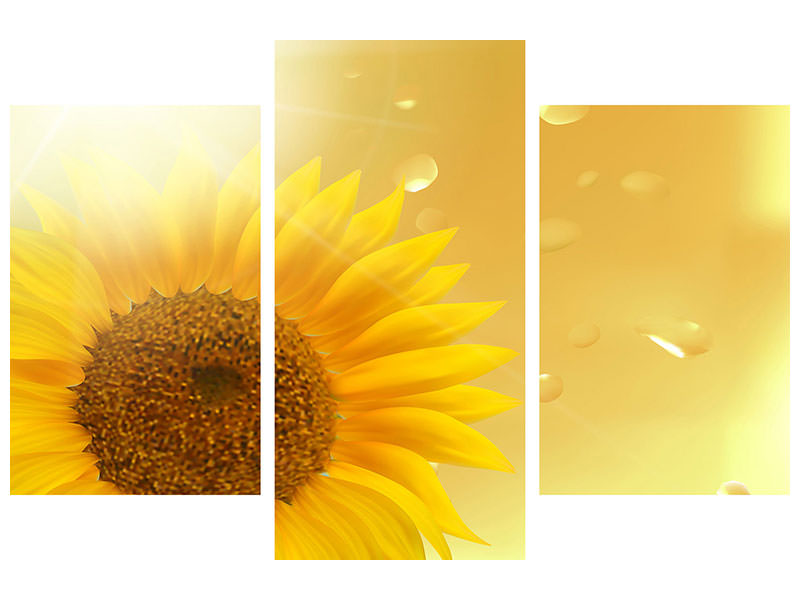 modern-3-piece-canvas-print-sunflower-in-morning-dew