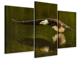 modern-3-piece-canvas-print-the-reflective-pond