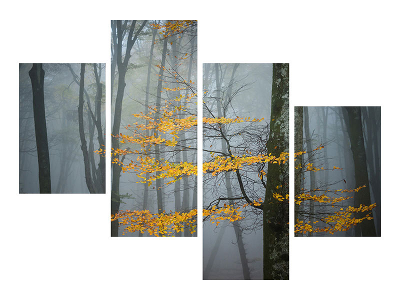 modern-4-piece-canvas-print-beech-forest-in-autumn