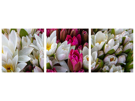 panoramic-3-piece-canvas-print-a-bouquet-of-water-lilies