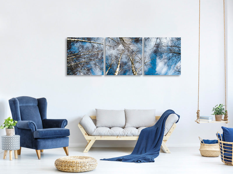 panoramic-3-piece-canvas-print-birch-crowns