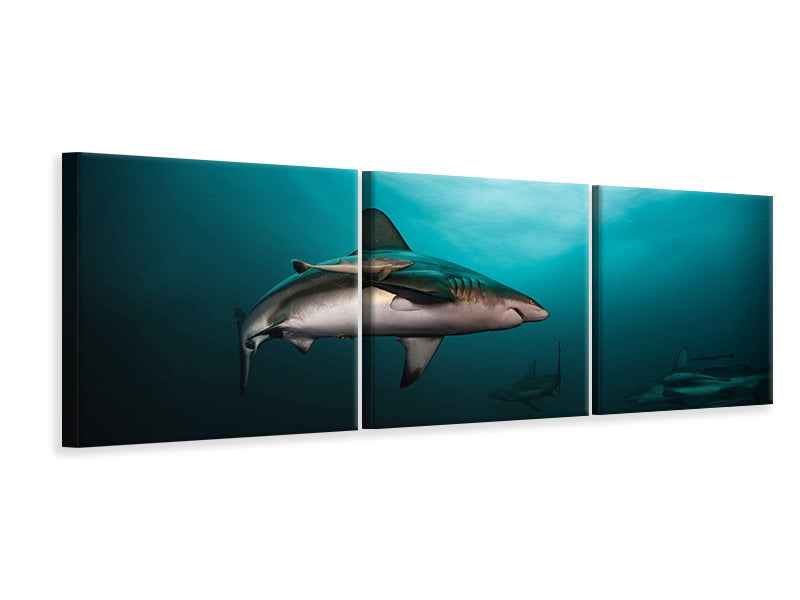 panoramic-3-piece-canvas-print-circling