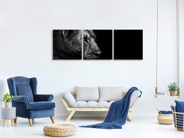 panoramic-3-piece-canvas-print-lion