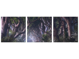 panoramic-3-piece-canvas-print-the-dark-hedges