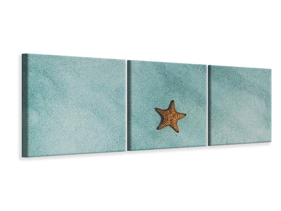 panoramic-3-piece-canvas-print-the-little-starfish