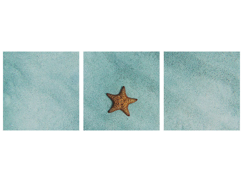 panoramic-3-piece-canvas-print-the-little-starfish