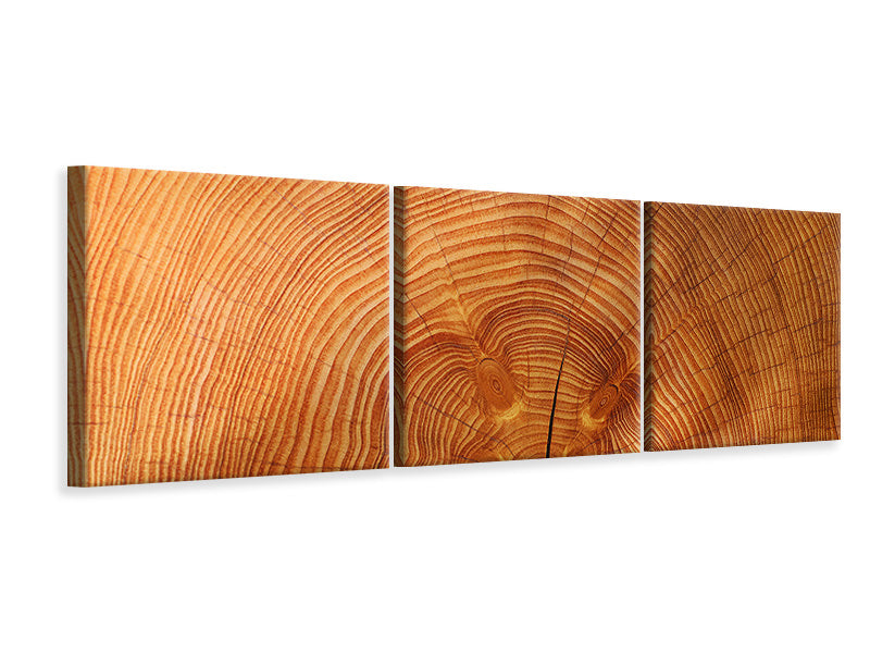 panoramic-3-piece-canvas-print-tree-rings