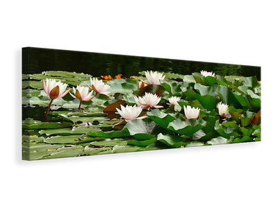 panoramic-canvas-print-a-field-full-of-water-lilies