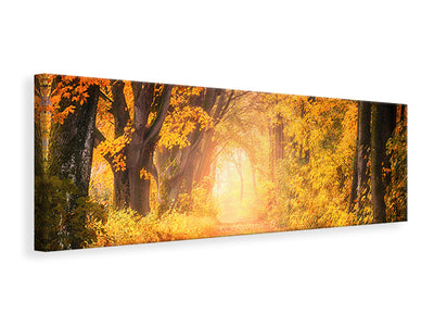 panoramic-canvas-print-colors-magnificent-forest