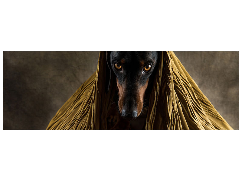 panoramic-canvas-print-golden-eyes-a