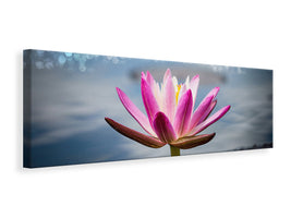 panoramic-canvas-print-lotus-in-the-morning-dew