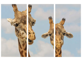 3-piece-canvas-print-2-giraffes