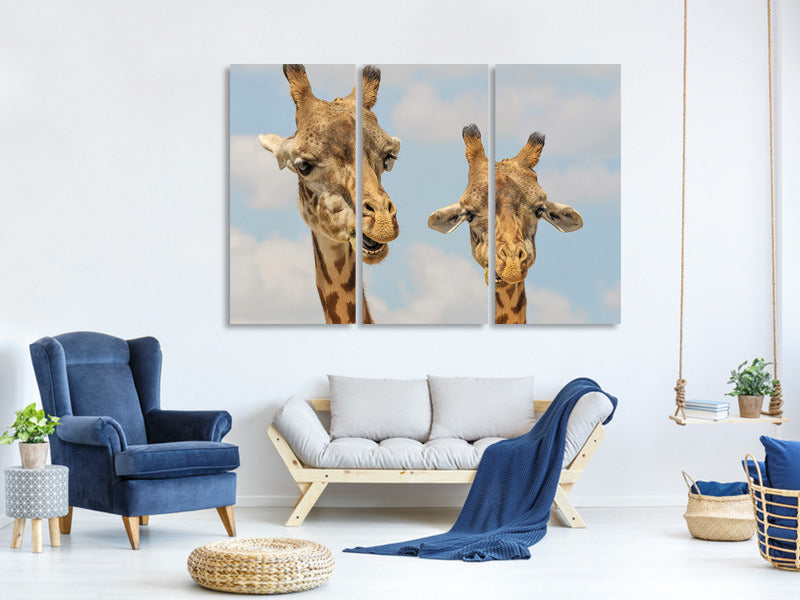 3-piece-canvas-print-2-giraffes