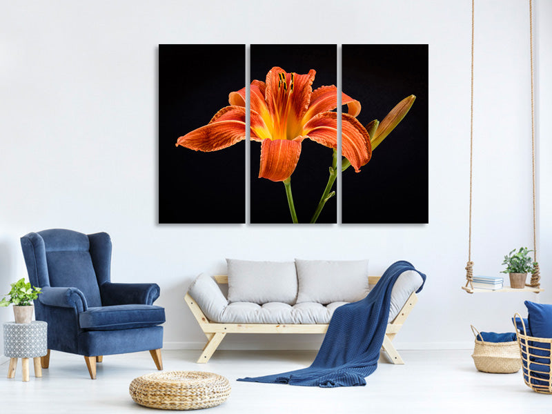 3-piece-canvas-print-a-lily-flower-in-orange