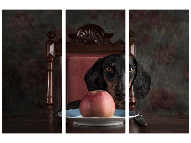 3-piece-canvas-print-an-apple-a-day-keeps-the-doctor-away