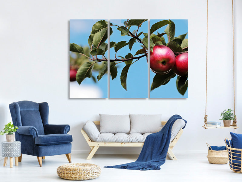 3-piece-canvas-print-apple-on-the-tree