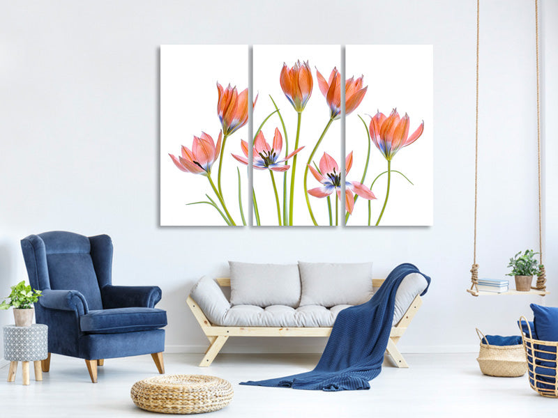 3-piece-canvas-print-apricot-tulips