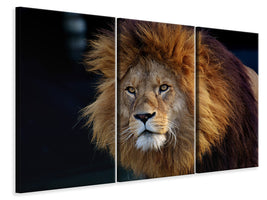 3-piece-canvas-print-attention-lion