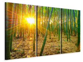 3-piece-canvas-print-bamboos