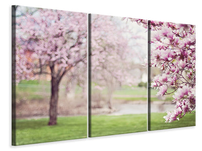 3-piece-canvas-print-beautiful-magnolias