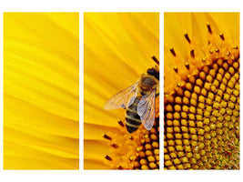 3-piece-canvas-print-bee-on-the-sunflower