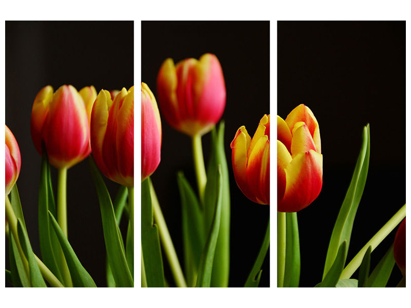 3-piece-canvas-print-colorful-tulips