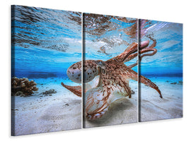 3-piece-canvas-print-dancing-octopus
