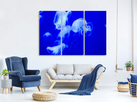 3-piece-canvas-print-floating-jellyfish