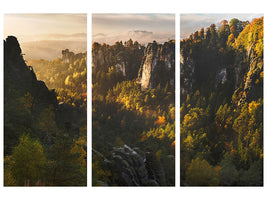 3-piece-canvas-print-forest-whispers