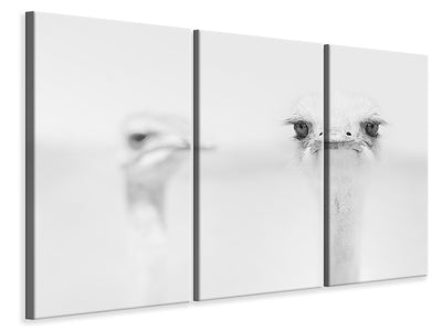 3-piece-canvas-print-funny-ostrich