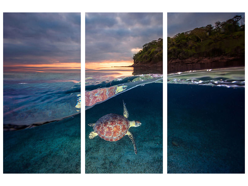3-piece-canvas-print-green-turtle-with-sunset