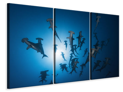 3-piece-canvas-print-hammerhead-shark-underwater-photography