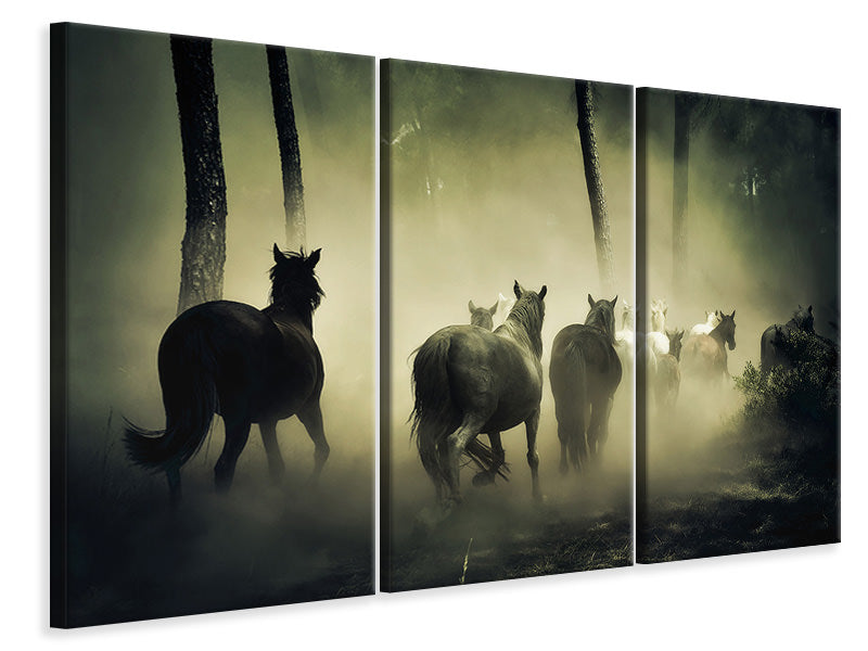 3-piece-canvas-print-horses-in-the-forest