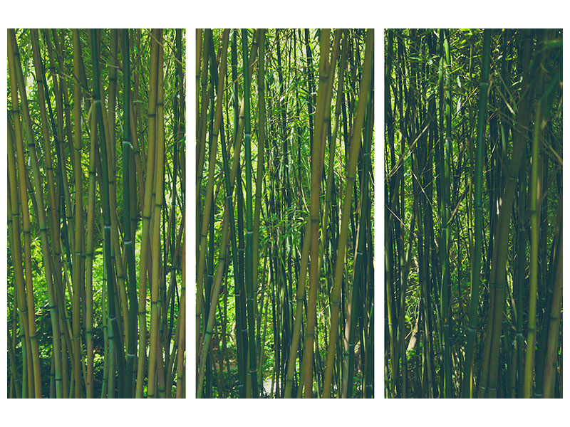 3-piece-canvas-print-in-the-middle-of-the-bamboo