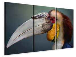 3-piece-canvas-print-jabrix