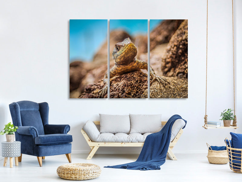 3-piece-canvas-print-little-alligator