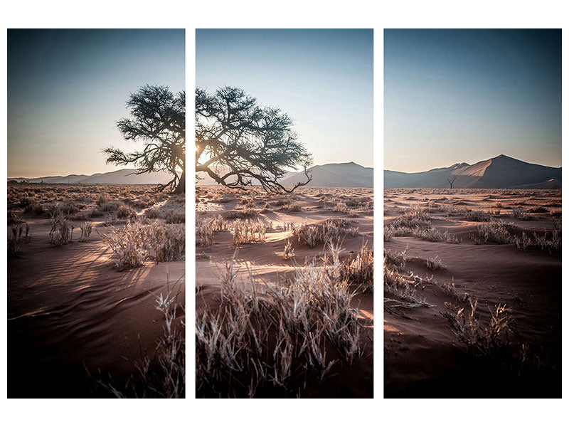 3-piece-canvas-print-longing-africa