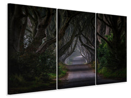 3-piece-canvas-print-magic-road