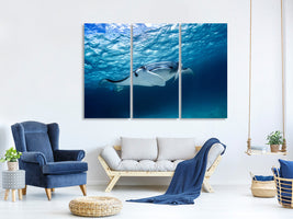 3-piece-canvas-print-manta-ray