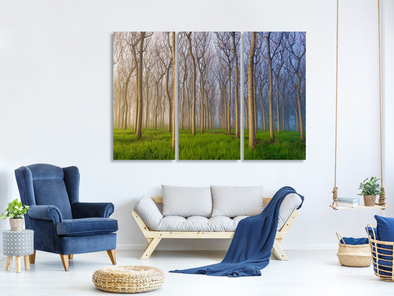 3-piece-canvas-print-morning-of-the-forest