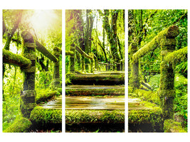 3-piece-canvas-print-moss